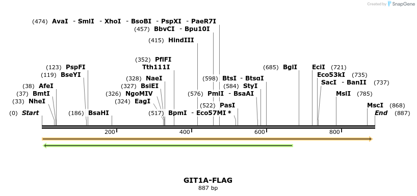 21702_map