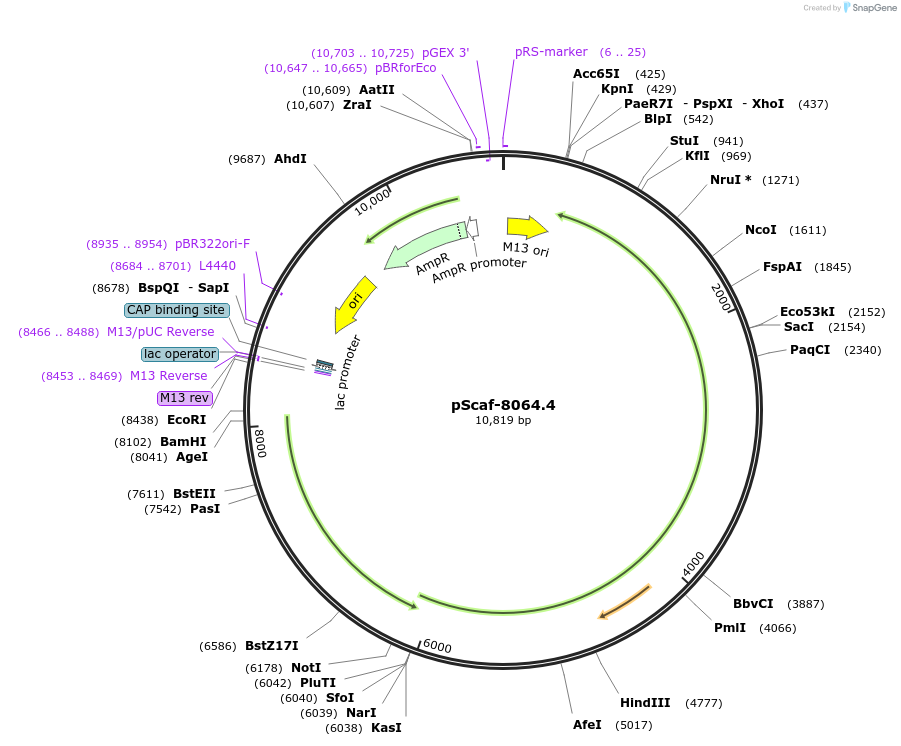 217042_map