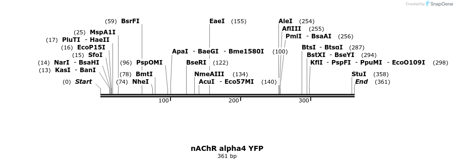 21706_map