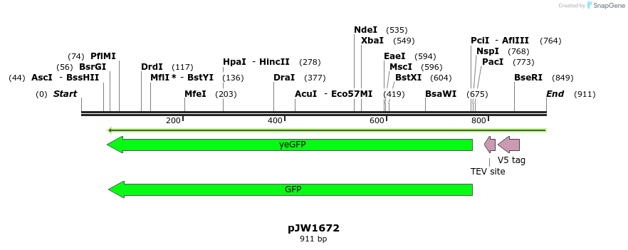 217065_map