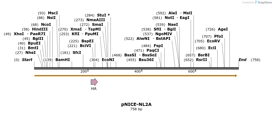 21711_map