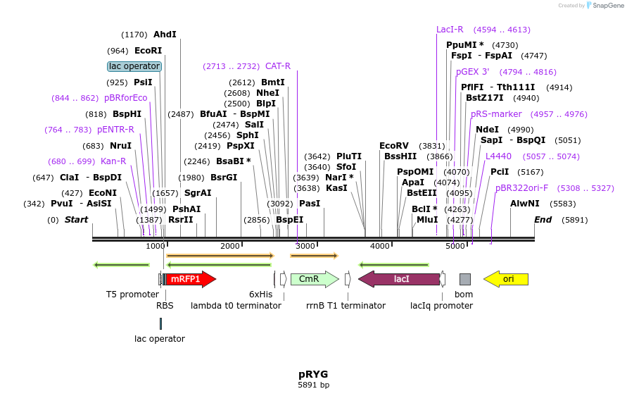 217119_map