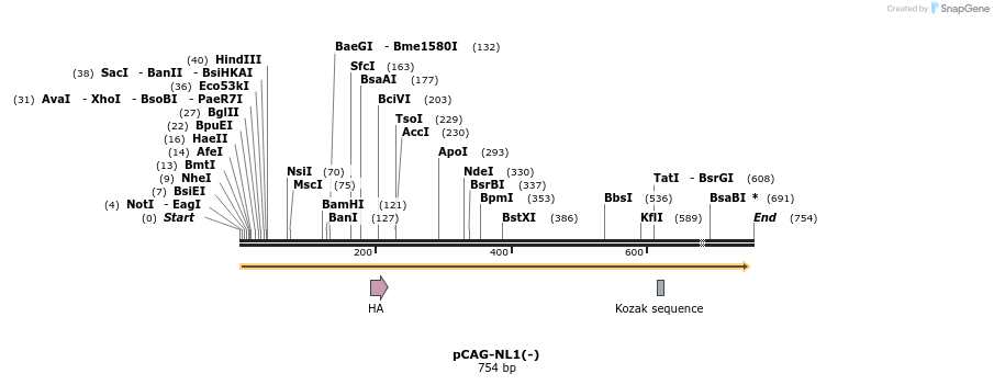 21712_map