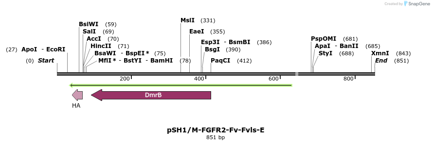 21718_map
