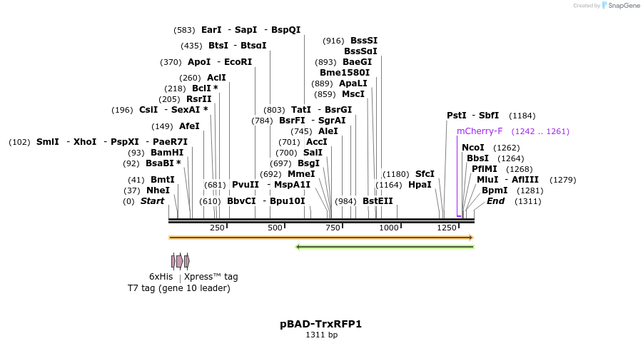 217202_map