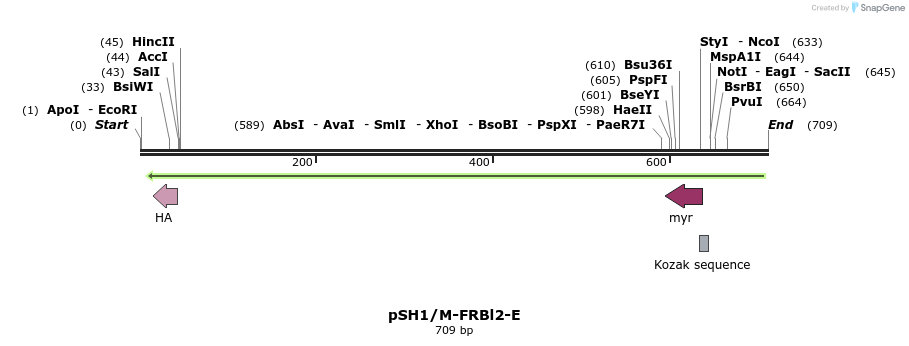 21721_map