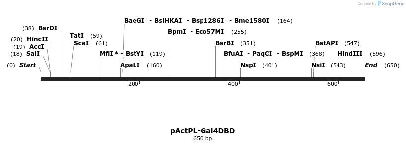 21723_map