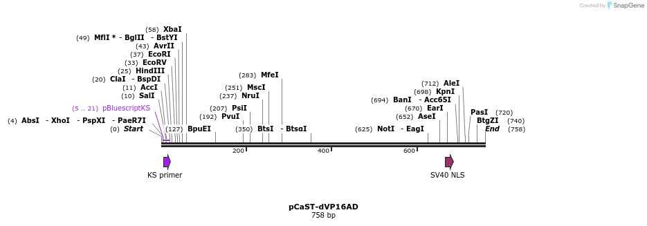 21725_map