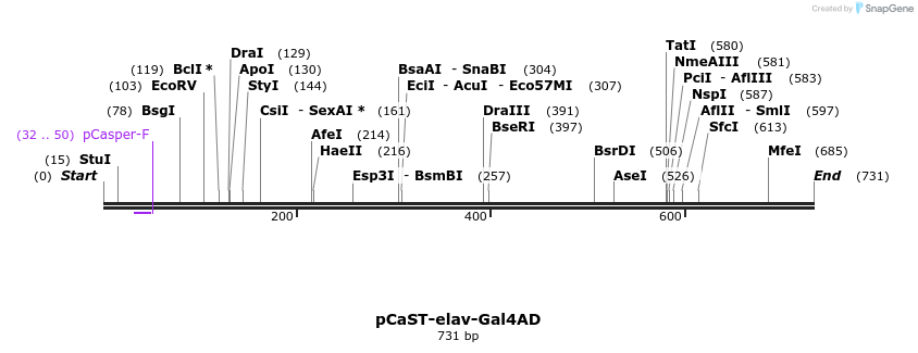 21726_map