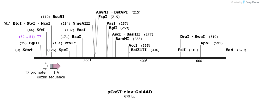 21727_map
