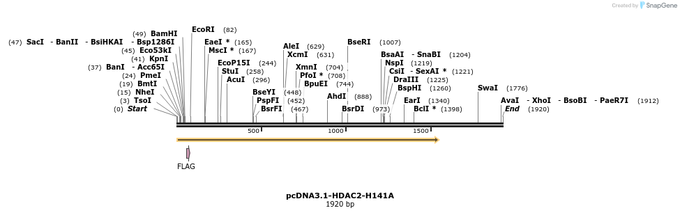 217280_map
