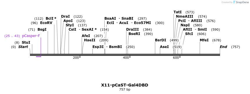 21729_map