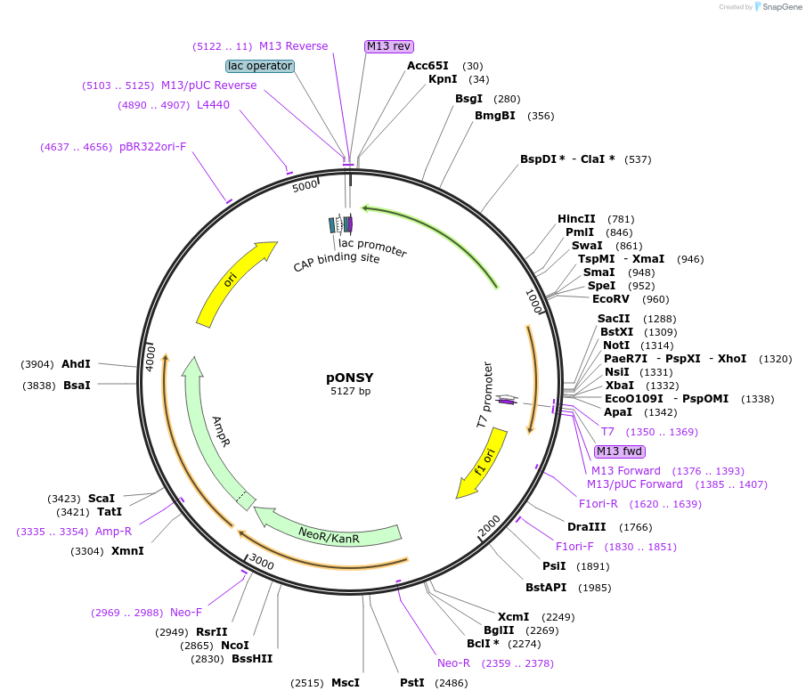 217304_map