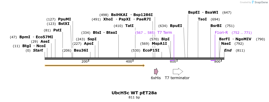 21733_map