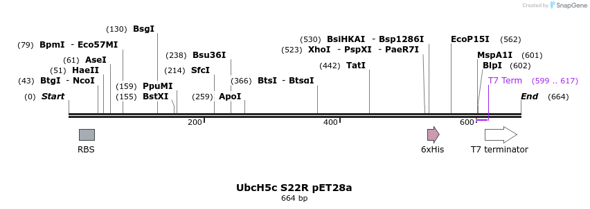 21734_map