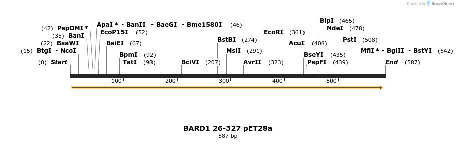 21736_map