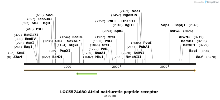 217380_map