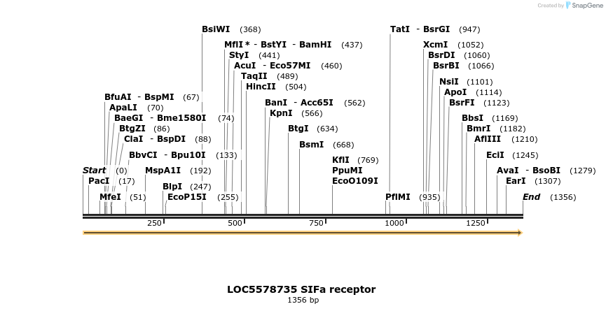 217383_map