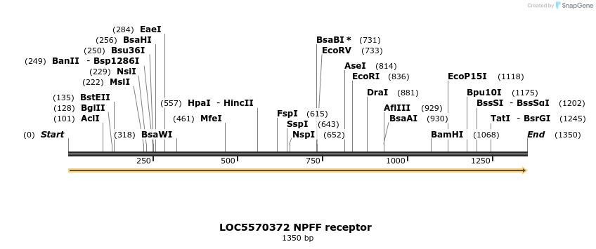 217384_map