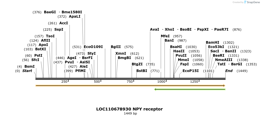217385_map
