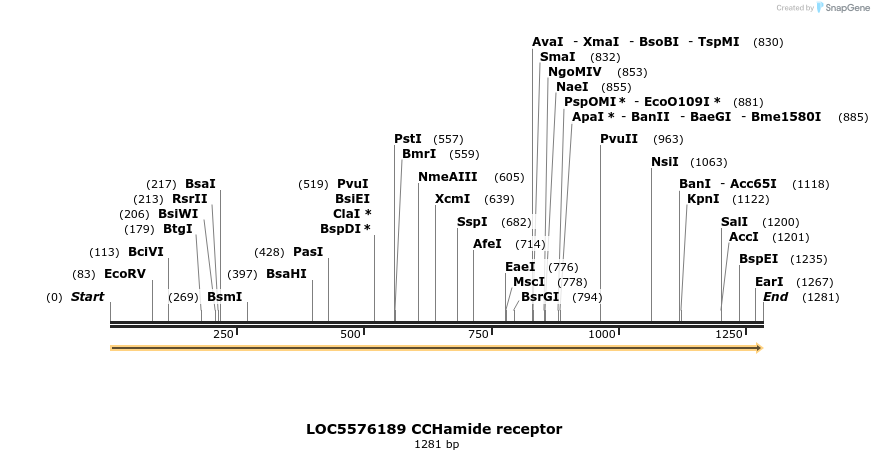 217386_map