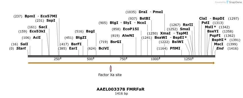 217388_map