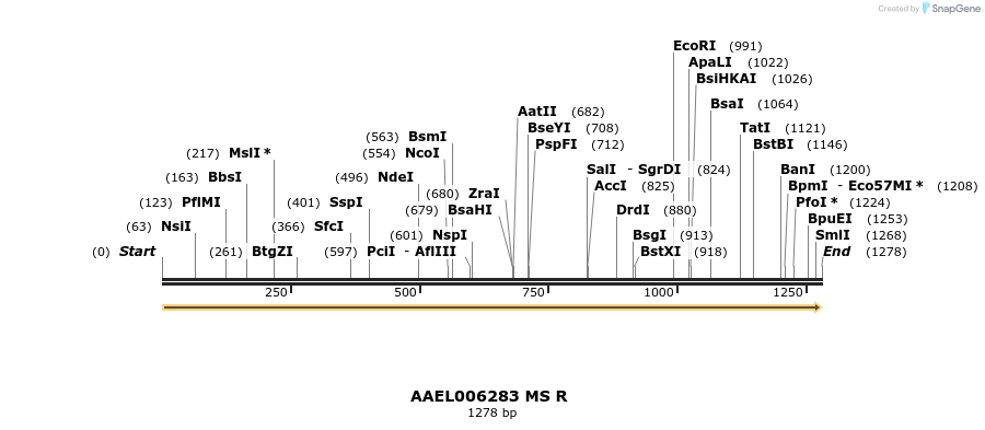 217392_map