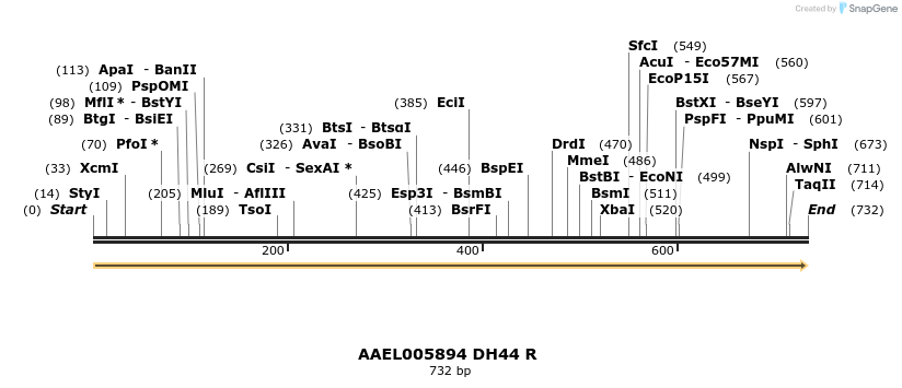 217393_map