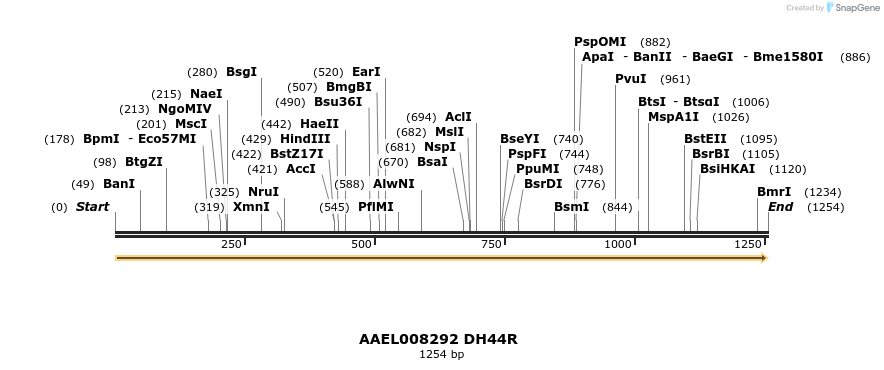 217394_map