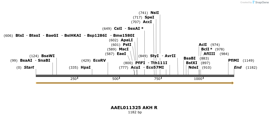 217395_map