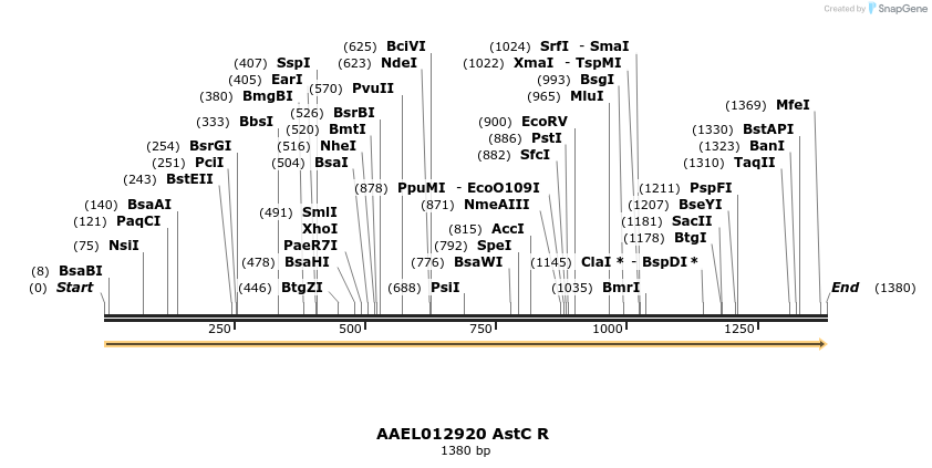 217396_map