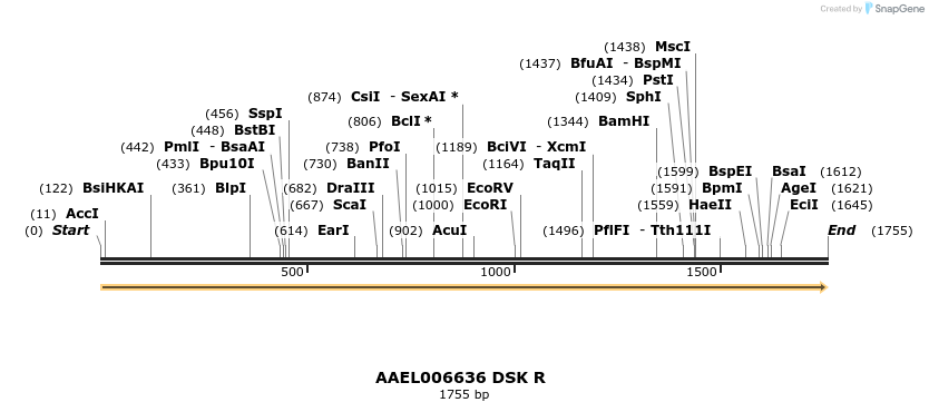 217398_map