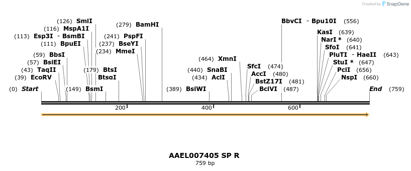 217399_map