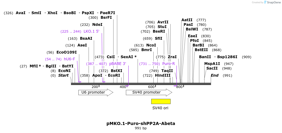 21740_map