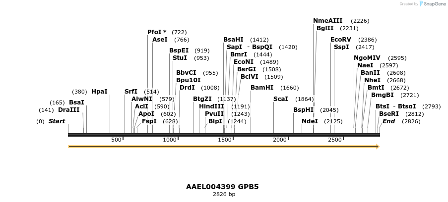 217401_map