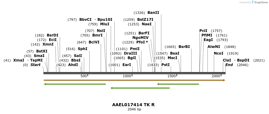 217402_map