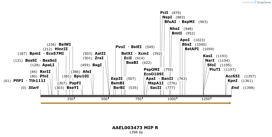 217404_map