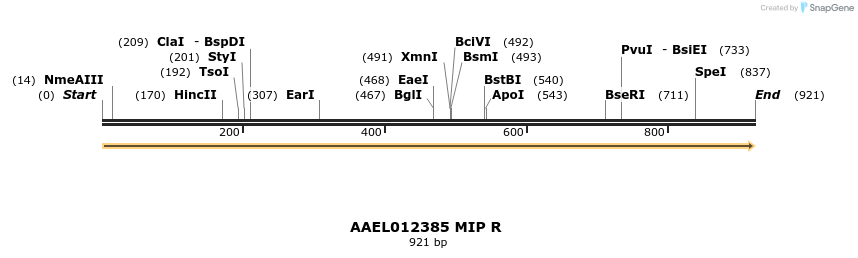 217405_map