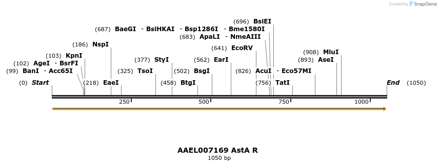 217406_map