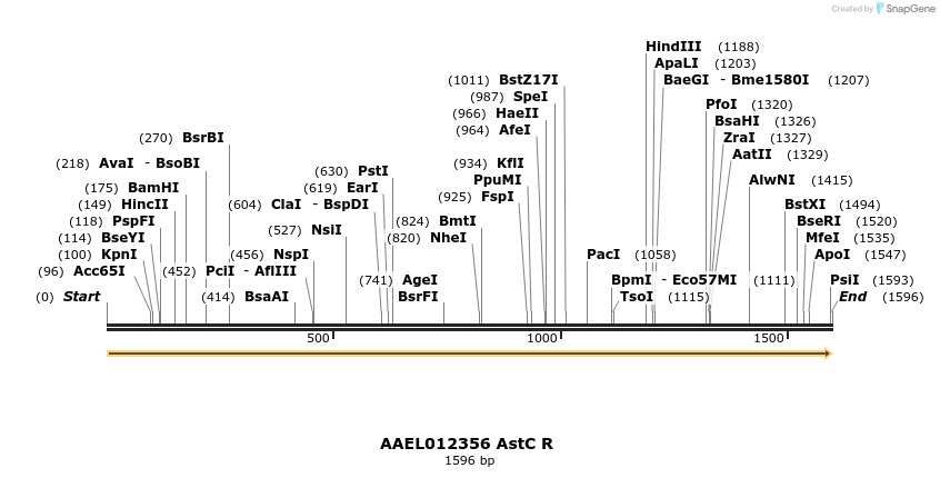 217407_map