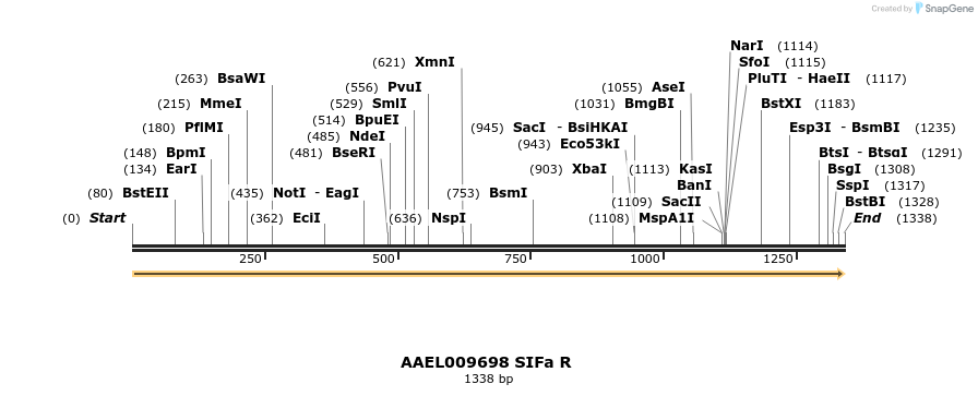 217409_map