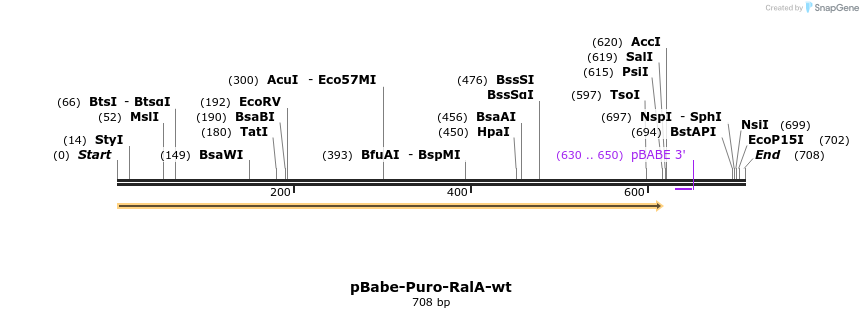 21741_map