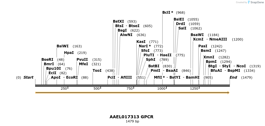 217410_map
