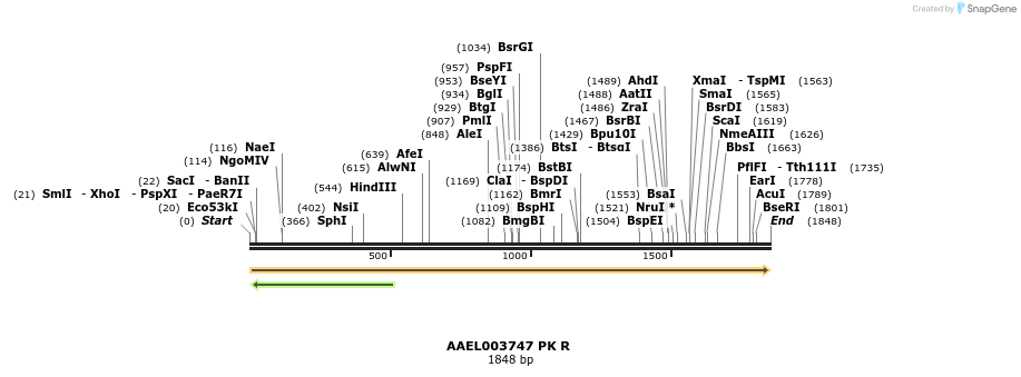 217411_map