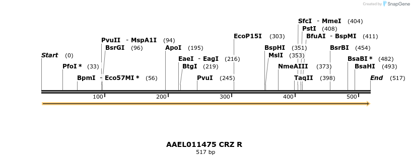 217412_map
