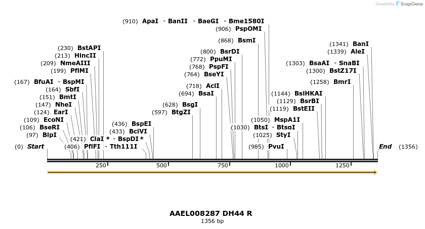 217413_map