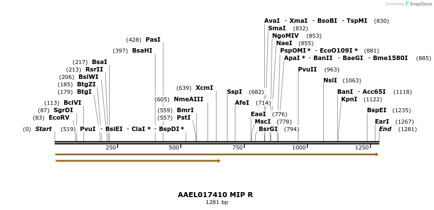 217417_map