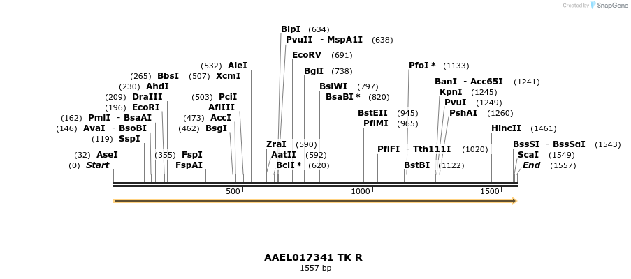 217418_map