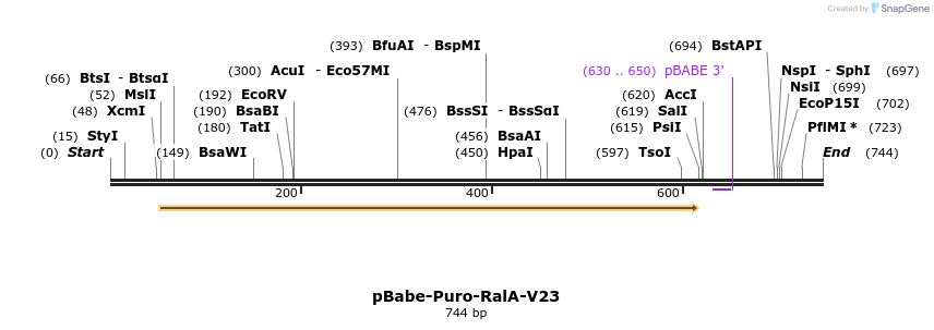 21742_map