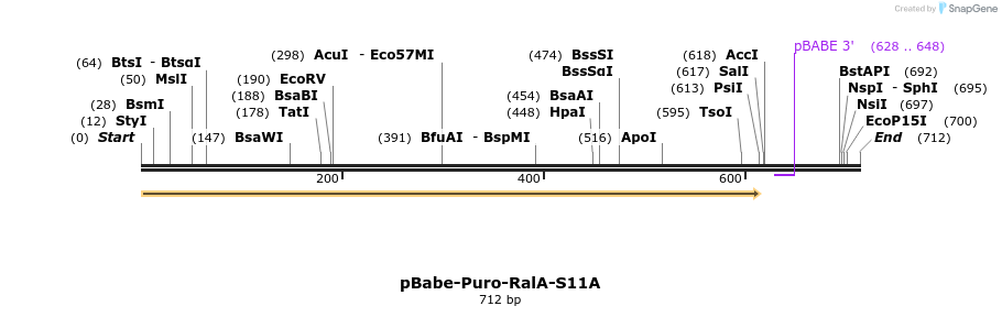 21743_map